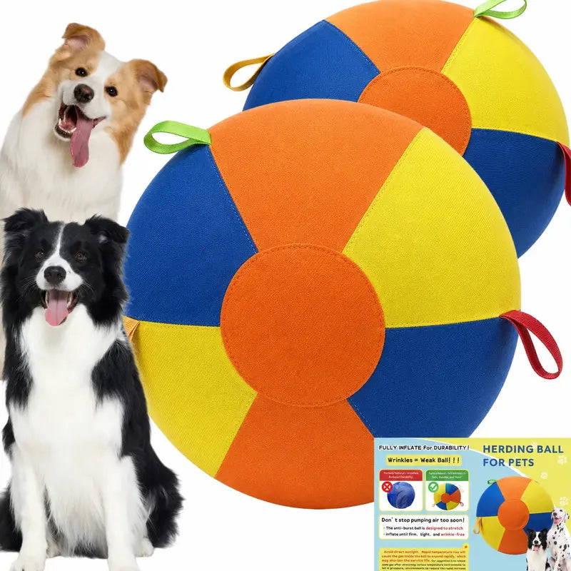 Interactive Push-and-Pull Outdoor Dog Toy
