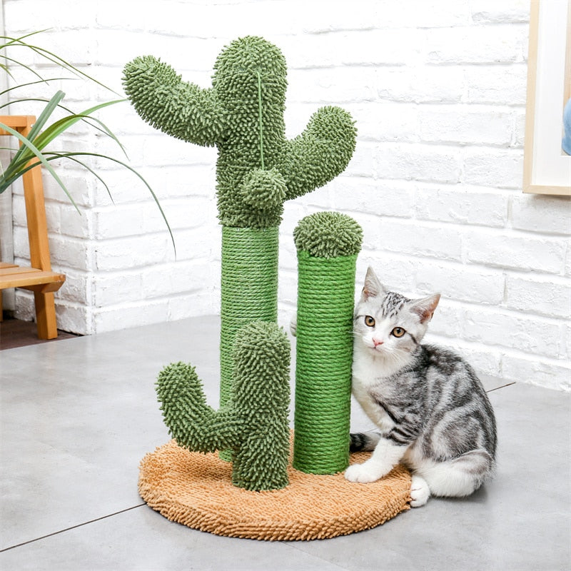 Kaktus Katzenkratzbaum Spielzeug